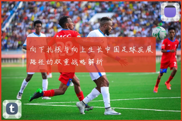 向下扎根与向上生长中国足球发展路径的双重战略解析