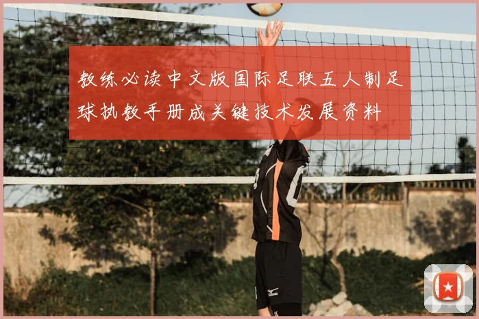 教练必读中文版国际足联五人制足球执教手册成关键技术发展资料