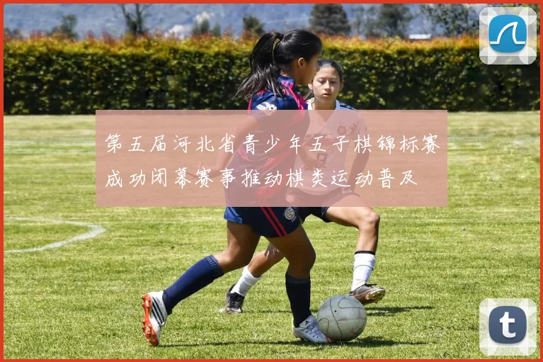 第五届河北省青少年五子棋锦标赛成功闭幕赛事推动棋类运动普及