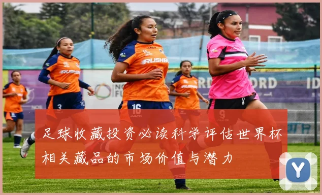 足球收藏投资必读科学评估世界杯相关藏品的市场价值与潜力